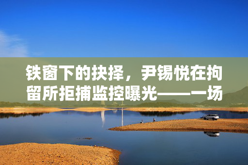 铁窗下的抉择，尹锡悦在拘留所拒捕监控曝光——一场政治与法律的较量