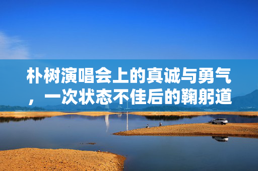 朴树演唱会上的真诚与勇气，一次状态不佳后的鞠躬道歉