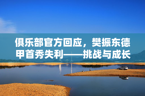 俱乐部官方回应，樊振东德甲首秀失利——挑战与成长并行的新篇章