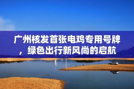 广州核发首张电鸡专用号牌，绿色出行新风尚的启航
