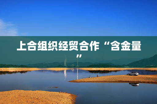 上合组织经贸合作“含金量”