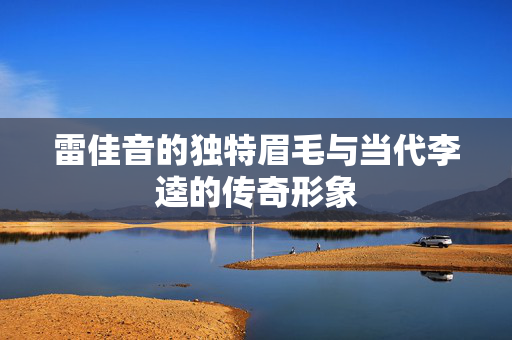 雷佳音的独特眉毛与当代李逵的传奇形象