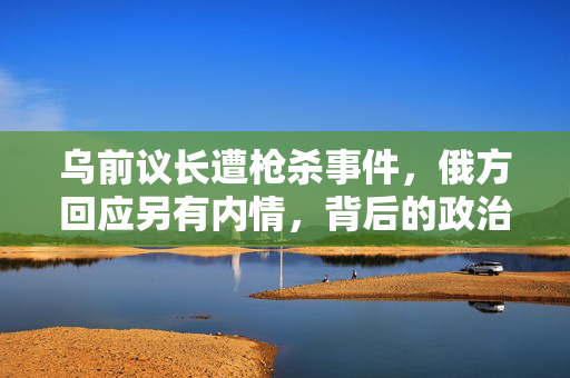 乌前议长遭枪杀事件，俄方回应另有内情，背后的政治风暴与真相探寻