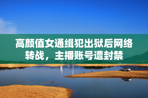 高颜值女通缉犯出狱后网络转战，主播账号遭封禁