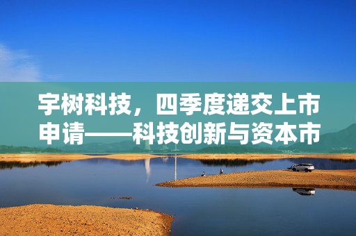 宇树科技，四季度递交上市申请——科技创新与资本市场的双重飞跃
