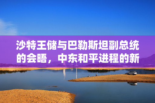 沙特王储与巴勒斯坦副总统的会晤，中东和平进程的新曙光