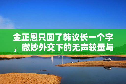 金正恩只回了韩议长一个字，微妙外交下的无声较量与期待