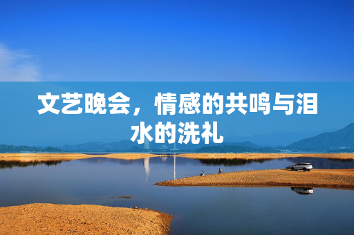 文艺晚会，情感的共鸣与泪水的洗礼