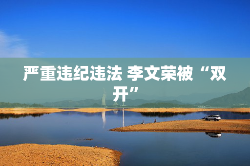 严重违纪违法 李文荣被“双开”
