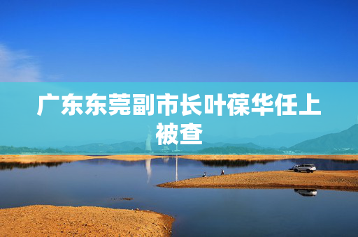 广东东莞副市长叶葆华任上被查