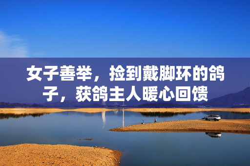 女子善举，捡到戴脚环的鸽子，获鸽主人暖心回馈