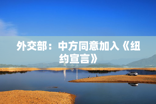 外交部：中方同意加入《纽约宣言》