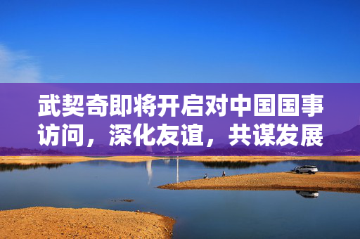 武契奇即将开启对中国国事访问，深化友谊，共谋发展