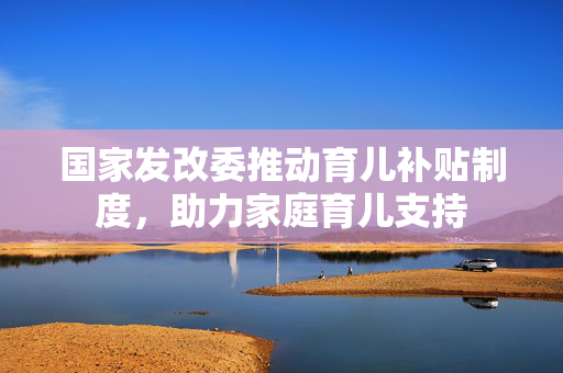 国家发改委推动育儿补贴制度，助力家庭育儿支持