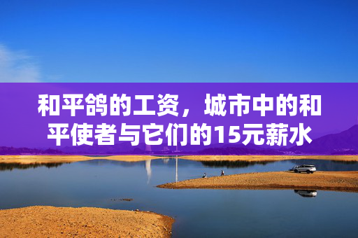 和平鸽的工资，城市中的和平使者与它们的15元薪水