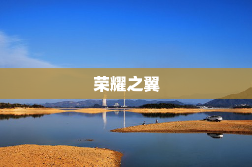 荣耀之翼