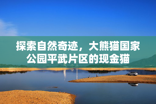 探索自然奇迹，大熊猫国家公园平武片区的现金猫