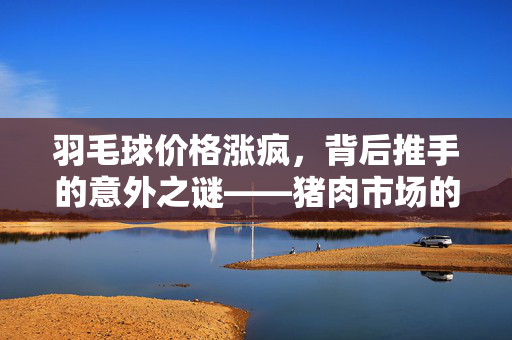 羽毛球价格涨疯，背后推手的意外之谜——猪肉市场的连锁反应