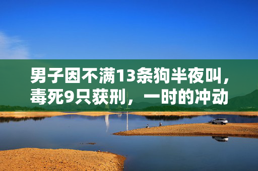 男子因不满13条狗半夜叫，毒死9只获刑，一时的冲动与长久的悔恨