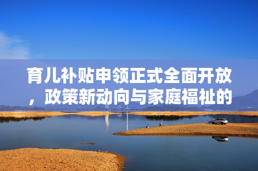 育儿补贴申领正式全面开放，政策新动向与家庭福祉的双重提升