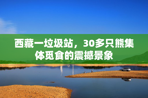 西藏一垃圾站，30多只熊集体觅食的震撼景象