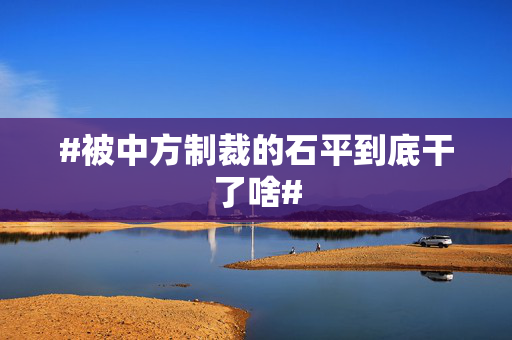 #被中方制裁的石平到底干了啥#