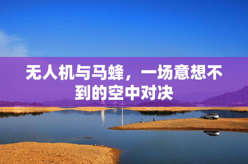 无人机与马蜂，一场意想不到的空中对决