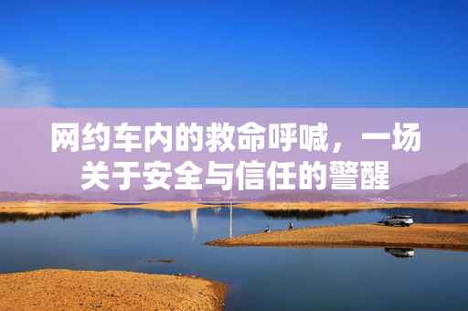 网约车内的救命呼喊，一场关于安全与信任的警醒