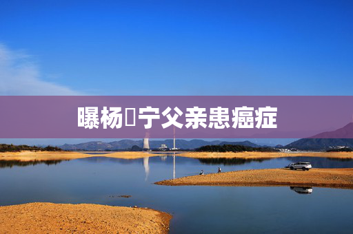 曝杨祐宁父亲患癌症