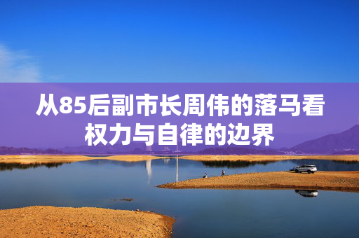 从85后副市长周伟的落马看权力与自律的边界