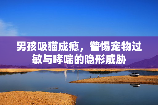 男孩吸猫成瘾，警惕宠物过敏与哮喘的隐形威胁