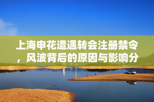 上海申花遭遇转会注册禁令，风波背后的原因与影响分析