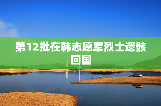 第12批在韩志愿军烈士遗骸回国