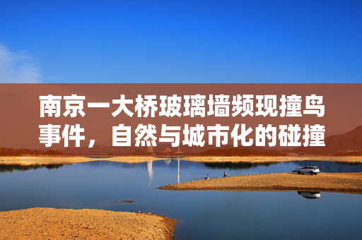 南京一大桥玻璃墙频现撞鸟事件，自然与城市化的碰撞与反思
