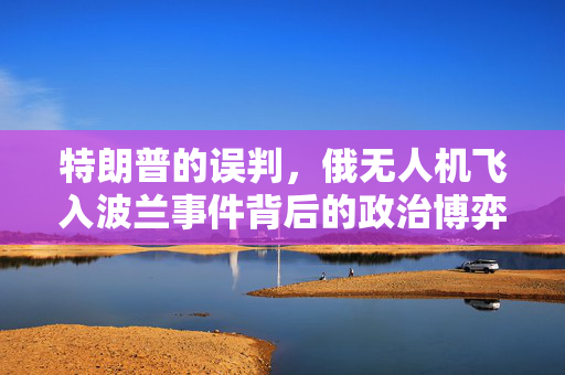 特朗普的误判，俄无人机飞入波兰事件背后的政治博弈与外交策略