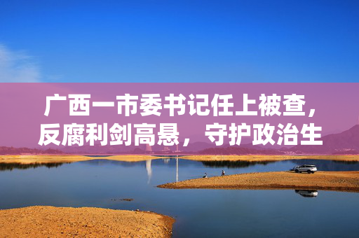 广西一市委书记任上被查，反腐利剑高悬，守护政治生态清朗