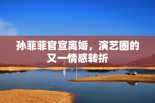孙菲菲官宣离婚，演艺圈的又一情感转折