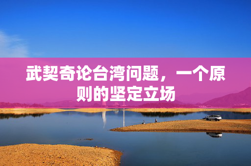 武契奇论台湾问题，一个原则的坚定立场