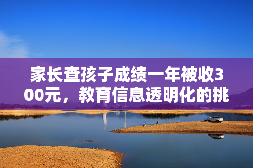 家长查孩子成绩一年被收300元，教育信息透明化的挑战与思考