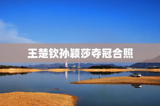 王楚钦孙颖莎夺冠合照