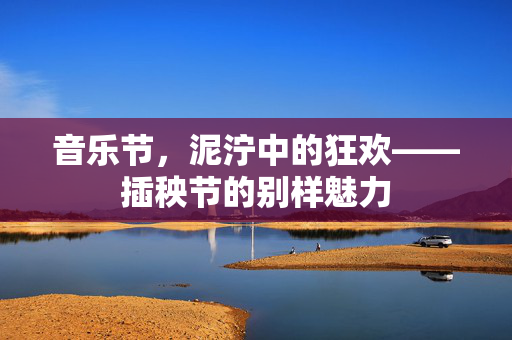 音乐节，泥泞中的狂欢——插秧节的别样魅力