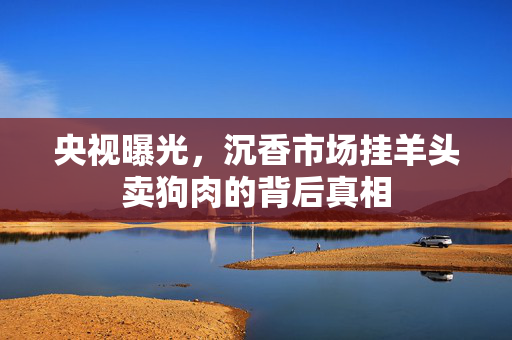 央视曝光，沉香市场挂羊头卖狗肉的背后真相