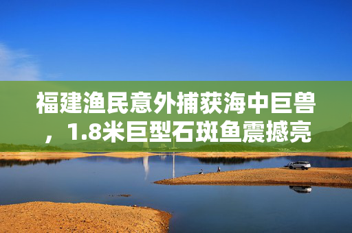 福建渔民意外捕获海中巨兽，1.8米巨型石斑鱼震撼亮相
