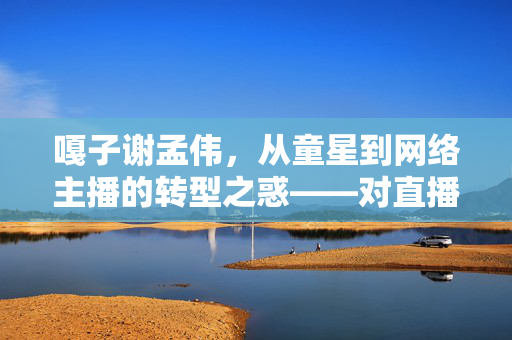 嘎子谢孟伟，从童星到网络主播的转型之惑——对直播穿警服骂人事件的深度反思