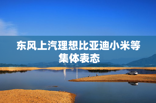 东风上汽理想比亚迪小米等 集体表态