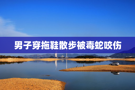 男子穿拖鞋散步被毒蛇咬伤