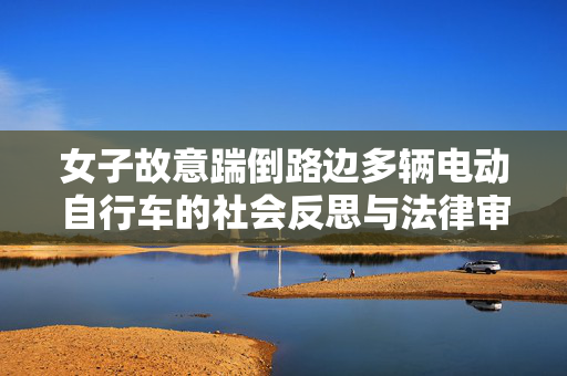女子故意踹倒路边多辆电动自行车的社会反思与法律审视