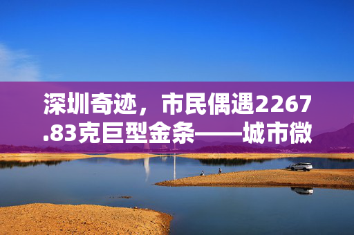 深圳奇迹，市民偶遇2267.83克巨型金条——城市微光中的财富与温情