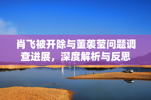 肖飞被开除与董袭莹问题调查进展，深度解析与反思