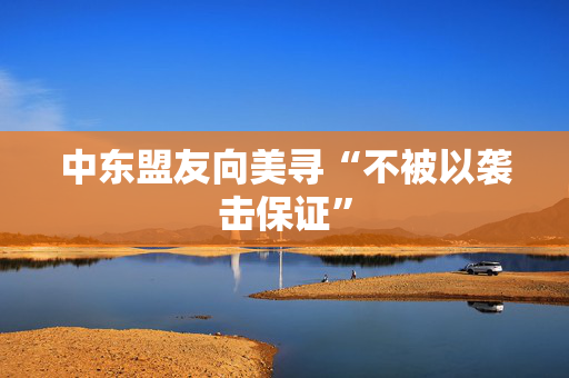 中东盟友向美寻“不被以袭击保证”